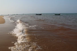 Khu vực nước biển ven bờ bị đục, đổi màu gạch nâu sẫm trong khi người khơi vẫn xanh trong. (Ảnh: Mạnh Thành/Vietnam+)