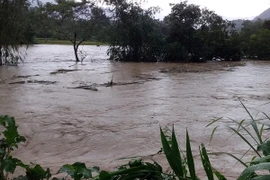 Mưa lũ gây ngập úng nhiều khu vực tại Nghĩa Đô, huyện Bảo Yên. (Ảnh: Hồng Ninh/TTXVN)
