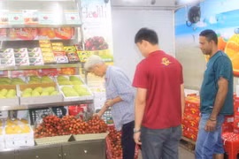 Vải thiều Việt Nam được người tiêu dùng Malaysia đón nhận nồng nhiệt. (Ảnh: Hà Ngọc/Vietnam+)