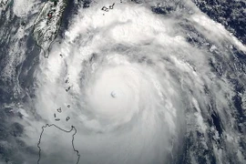 Ảnh chụp vệ tinh siêu bão Meranti. (Nguồn: AP)