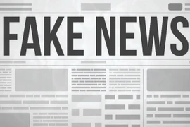 Ảnh minh họa. (Nguồn: vallartadaily.com)