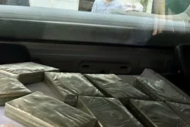 Ảnh minh họa. (Ảnh TTXVN phát)