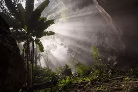 Ánh nắng ở Vườn Edam trong hang Sơn Đoòng. (Ảnh: Ryan Deboodt)