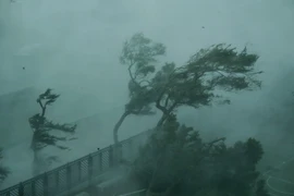 Gió lớn do ảnh hưởng của bão Mangkhut tại Hong Kong, Trung Quốc ngày 16/9. (Ảnh: THX/TTXVN)
