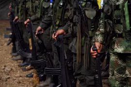Các tay súng FARC đã giao nộp vũ khí. (Nguồn: Reuters)