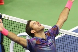 Del Potro thẳng tiến bán kết US Open sau khi đánh bại Federer. (Nguồn: Reuters)