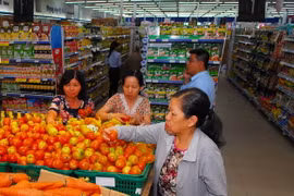 (Ảnh minh họa: Mạnh Linh/TTXVN)