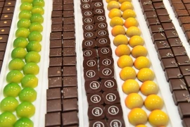 Những sản phẩm được trưng bày ở triển lãm. (Nguồn: AFP)