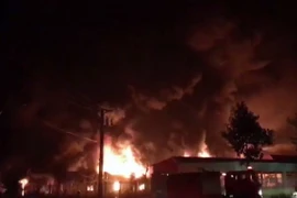 Ảnh minh họa. (Ảnh: Công Mạo/TTXVN)