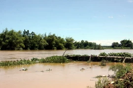 Cây cầu gỗ Đông Min dài gần 200m bị nước lũ cuốn trôi. (Ảnh: Sỹ Thắng/TTXVN)