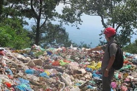 (Ảnh: Nguyễn Trọng Lịch/TTXVN)