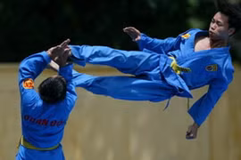 Môn võ cổ truyền Vovinam.
