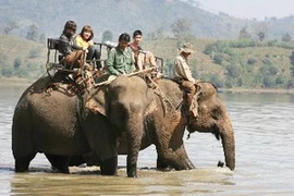 (Ảnh minh họa: Phương Hoa/TTXVN)