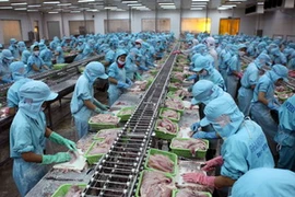 Dây chuyền chế biến cá tra của Công ty cổ phần Thủy sản Bình An. (Ảnh: AN Đăng/TTXVN)