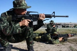 Ảnh minh họa. (Nguồn: Internet)