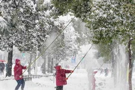 Sống khu vực lạnh dễ mắc bệnh đa xơ cứng. (Nguồn: AFP)