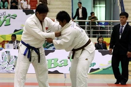 (Ảnh minh họa: Hữu Việt/TTXVN)