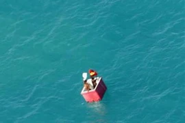 Ảnh minh họa. (Nguồn: Internet)