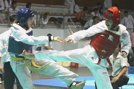 (Ảnh: Ngọc Trường/TTXVN)