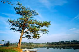 Hồ Xuân Hương. (Nguồn: Internet)