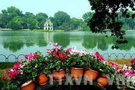 (Ảnh: Thanh Hà/TTXVN)