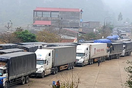 Số lượng xe ôtô chở hàng nông sản lên cửa khẩu Tân Thanh những ngày qua vẫn không giảm. (Ảnh: Song Toàn/TTXVN)