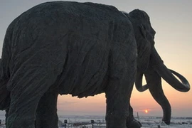 (Nguồn: RIA Novosti)