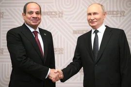 Tổng thống Nga Vladimir Putin và Tổng thống Ai Cập Abdelfattah Sisi tại lễ gặp mặt của Trưởng đoàn các nước BRICS. (Nguồn: website Tổng thống Nga)