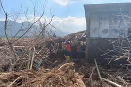 Người dân thu dọn đống đổ nát sau khi bão Usagi quét qua tỉnh Cagayan (Philippines) ngày 15/11/2024. (Ảnh: Reuters/TTXVN)