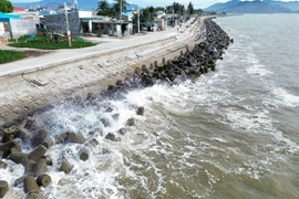 Ảnh minh họa. (Ảnh: Nguyễn Thành/TTXVN)