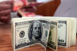 Nợ công toàn cầu cùng với thâm hụt ngân sách, vốn đang ở mức rất cao, có thể sẽ tiếp tục gia tăng và gây rủi ro. (Ảnh: AFP/TTXVN)