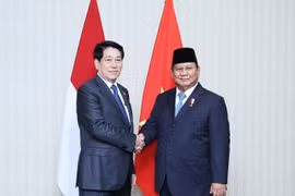 Chủ tịch nước Lương Cường gặp Tổng thống Indonesia Prabowo Subianto. (Ảnh: Lâm Khánh/TTXVN)