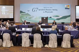 G7 kêu gọi tuân thủ đầy đủ, mở rộng phạm vi thỏa thuận về ngũ cốc 