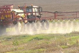 Không có lo ngại lớn khi tái cấp phép cho hóa chất diệt cỏ glyphosate