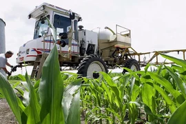 Các nước EU bất đồng về thời hạn sử dụng thuốc diệt cỏ glyphosate
