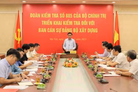Triển khai quyết định kiểm tra của Bộ Chính trị về công tác cán bộ 