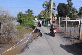 Tiền Giang khẩn trương khắc phục các điểm sạt lở nghiêm trọng
