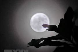 Hiện tượng Siêu Trăng sẽ xuất hiện vào lúc 8 giờ 35 ngày 31/8