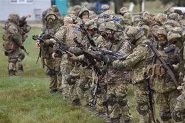 Mỹ bắt đầu huấn luyện chiến đấu cho quân đội Ukraine ở Đức