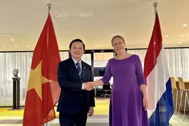 Quyết tâm đưa quan hệ Việt Nam-Hà Lan đi vào chiều sâu, hiệu quả