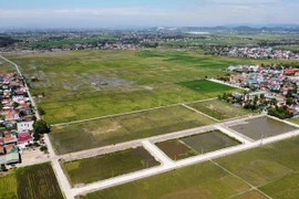 Nghệ An: Xử lý vụ em trai lãnh đạo huyện trúng đấu giá 23/56 lô đất