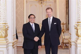 Thủ tướng Phạm Minh Chính hội kiến Đại Công tước Luxembourg Henri. (Ảnh: Dương Giang/TTXVN)