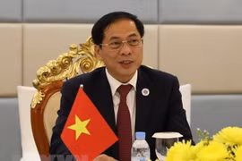 Bộ Ngoại giao Việt Nam và Áo hợp tác chặt chẽ, hiệu quả hơn nữa
