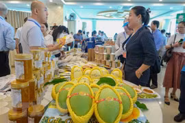 Thúc đẩy kinh tế giữa các địa phương và Trùng Khánh của Trung Quốc
