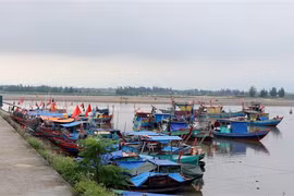 Các địa phương chủ động ứng phó với diễn biến của áp thấp nhiệt đới
