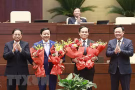 Thủ tướng Chính phủ phân công nhiệm vụ đối với các Phó Thủ tướng 