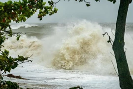 (Nguồn: ABC News)