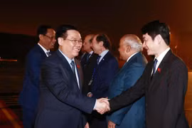 Chuyên gia: Quan hệ Việt Nam-Argentina tiếp tục phát triển mạnh mẽ
