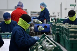 Tỷ lệ thất nghiệp tại Anh tăng cao nhất trong hai năm qua