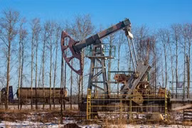 Các nước OPEC+ xem xét tiếp tục cắt giảm sản lượng dầu mỏ